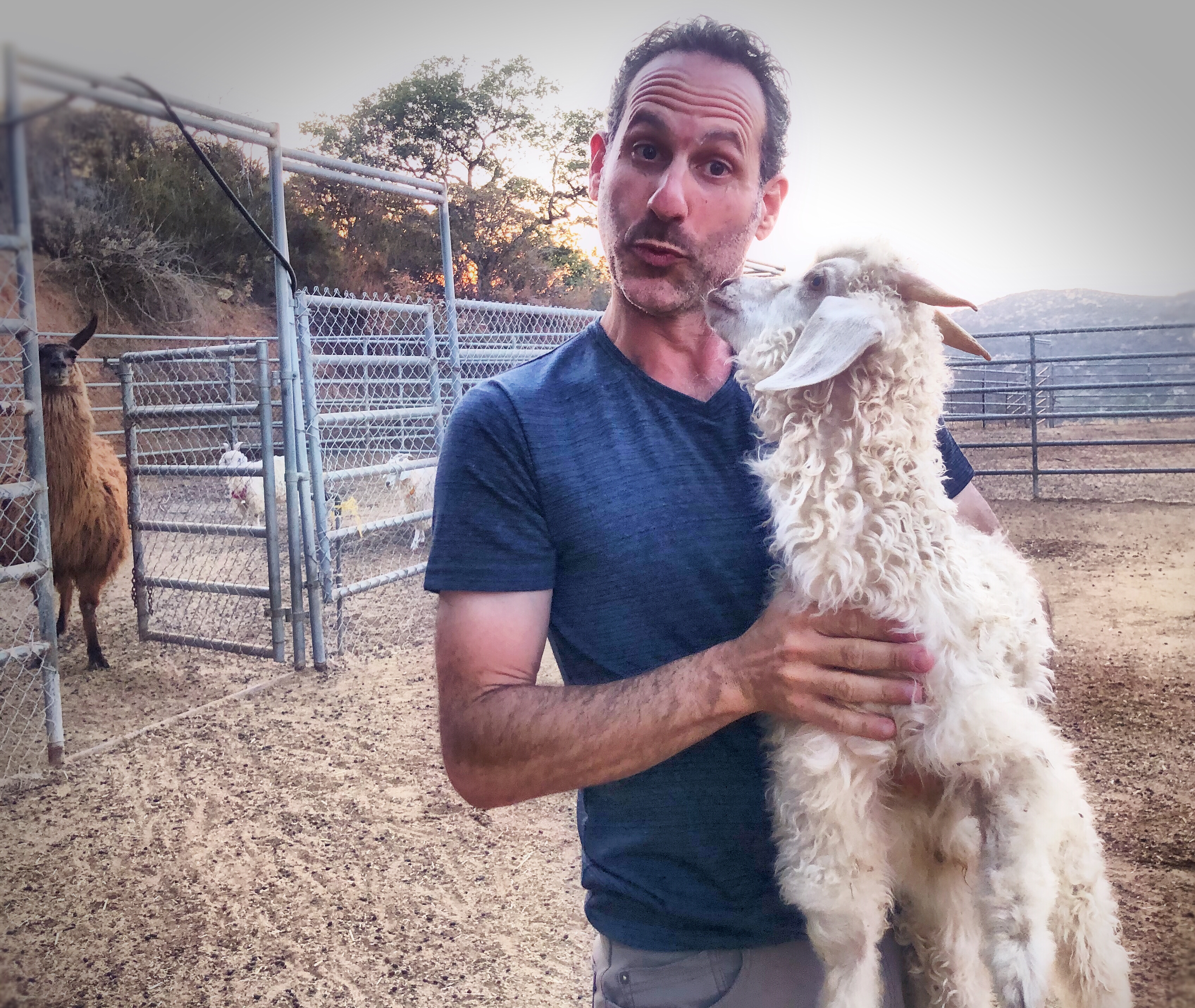 Steven with goats and a llama on a farm