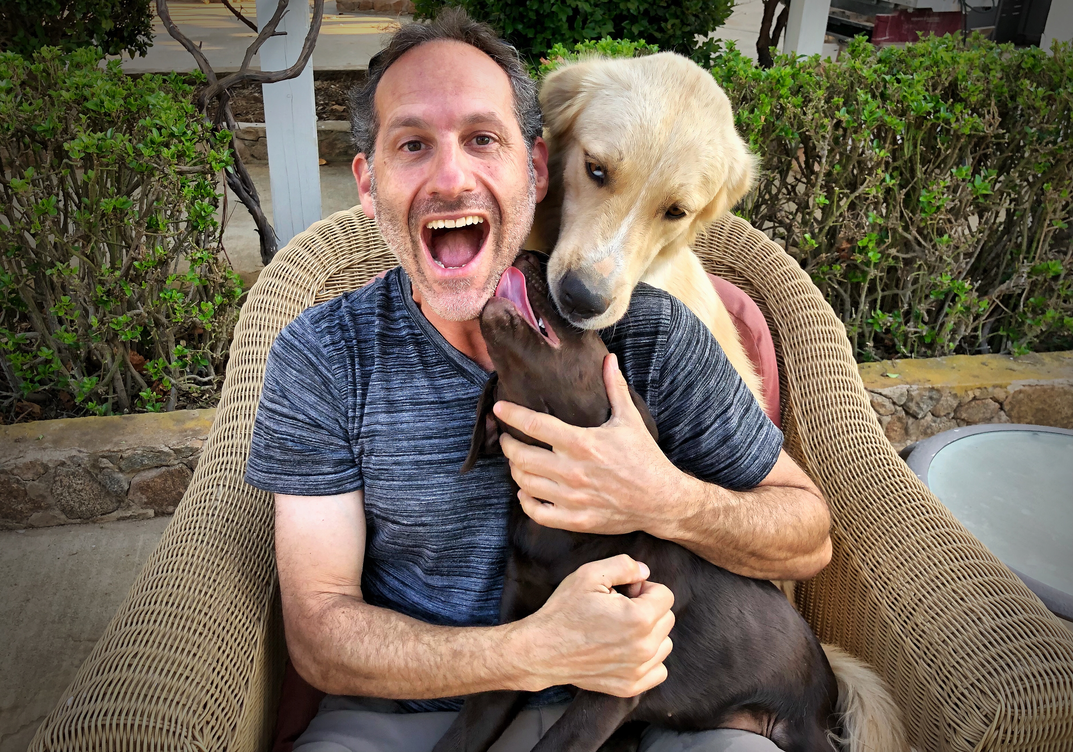 Steven laughing with two golden retrievers