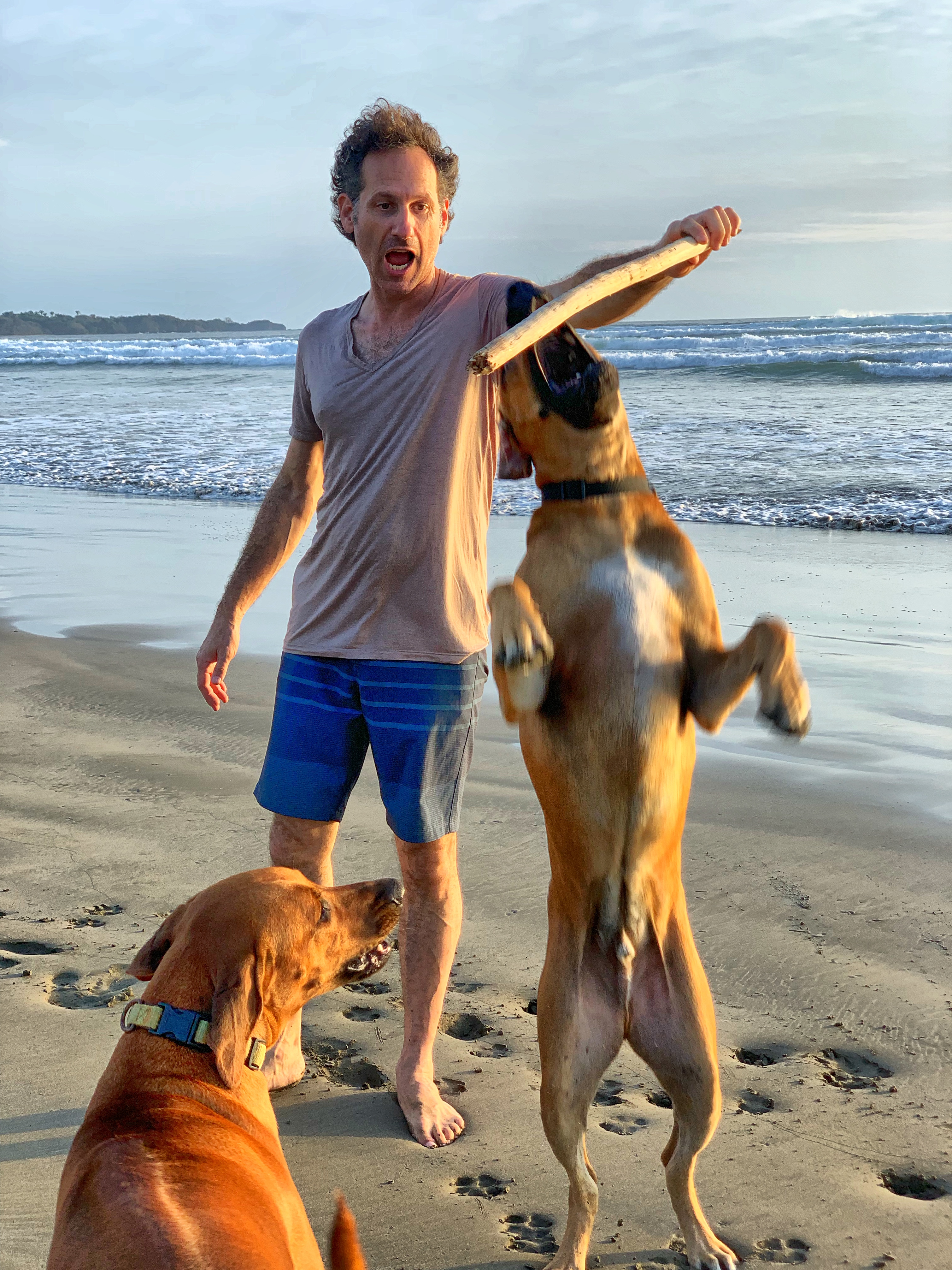 Steven playing with two large dogs on the beach
