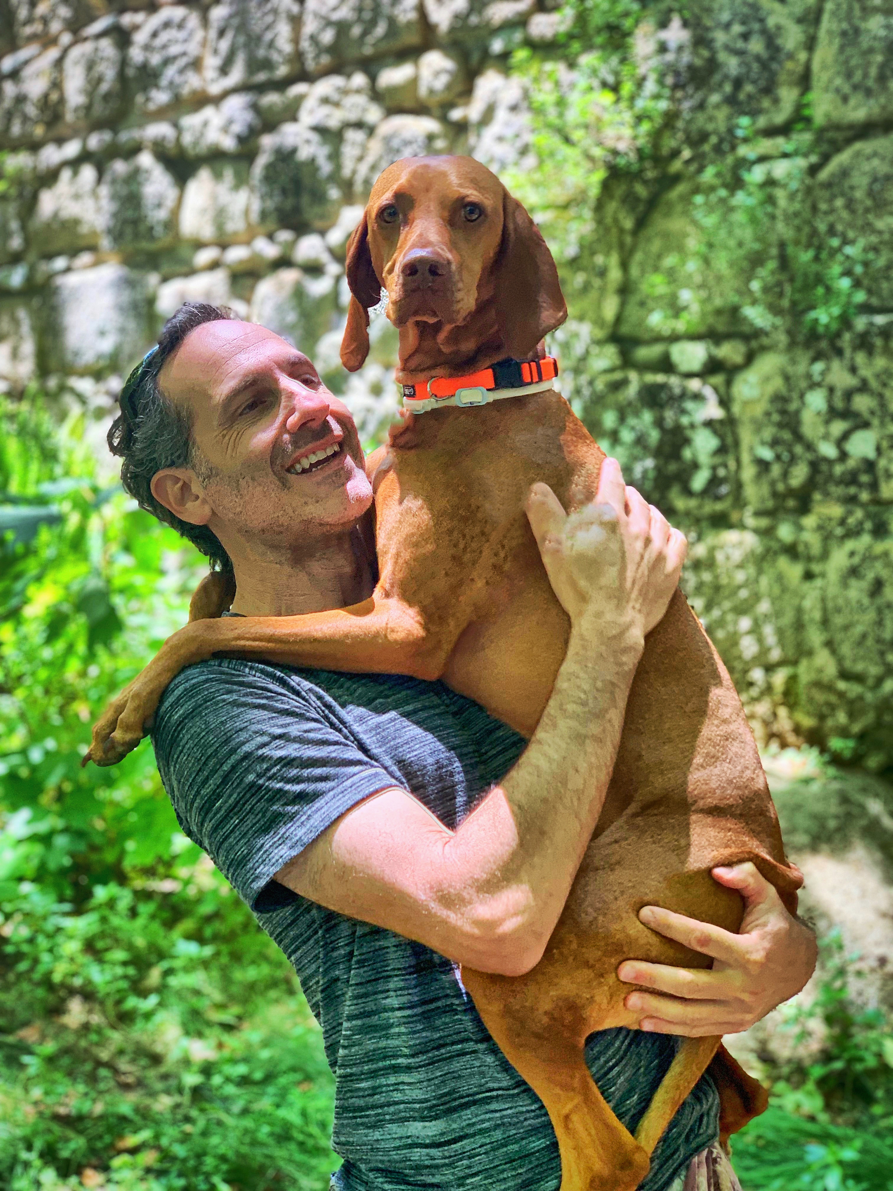 Steven holding a Vizsla, stone garden wall