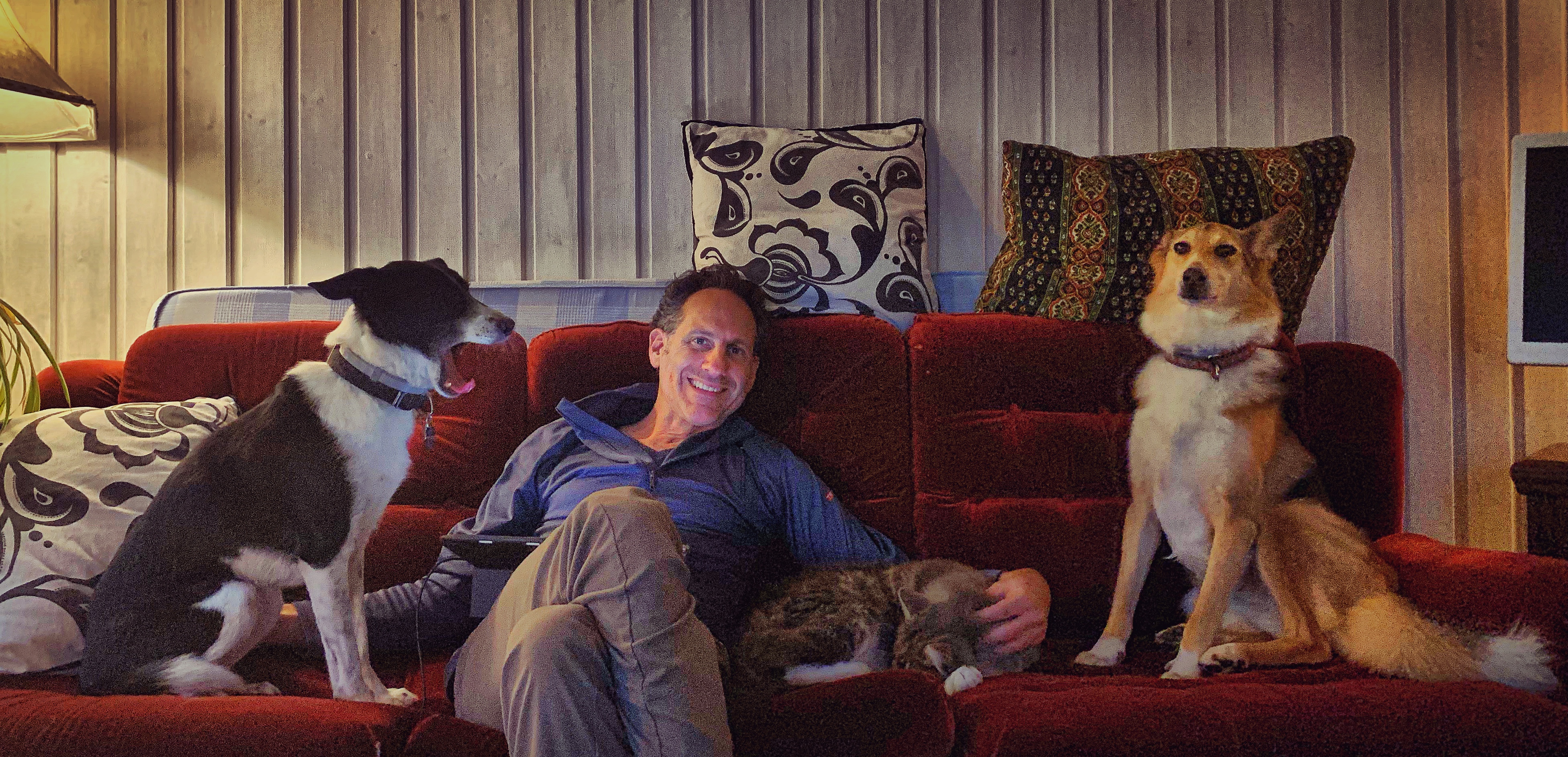 Steven on a couch with two dogs and a cat