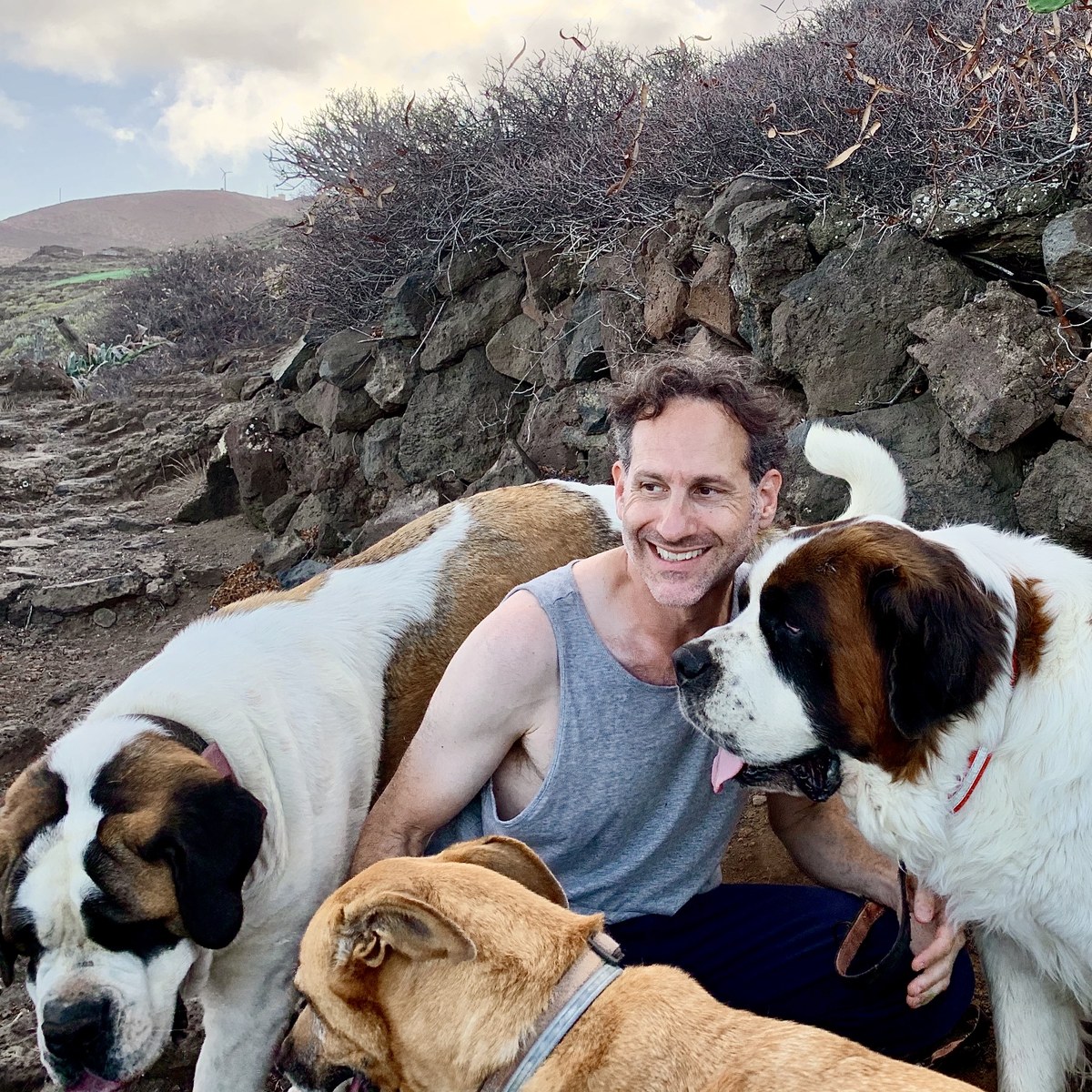 Saint Bernards in El Hierro, Canary Islands
