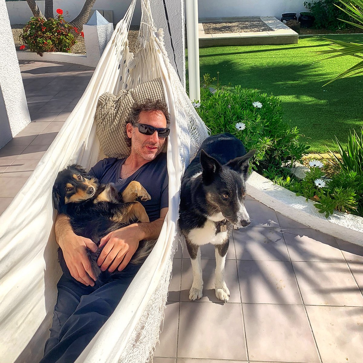 Chill dogs in Tavira, Portugal