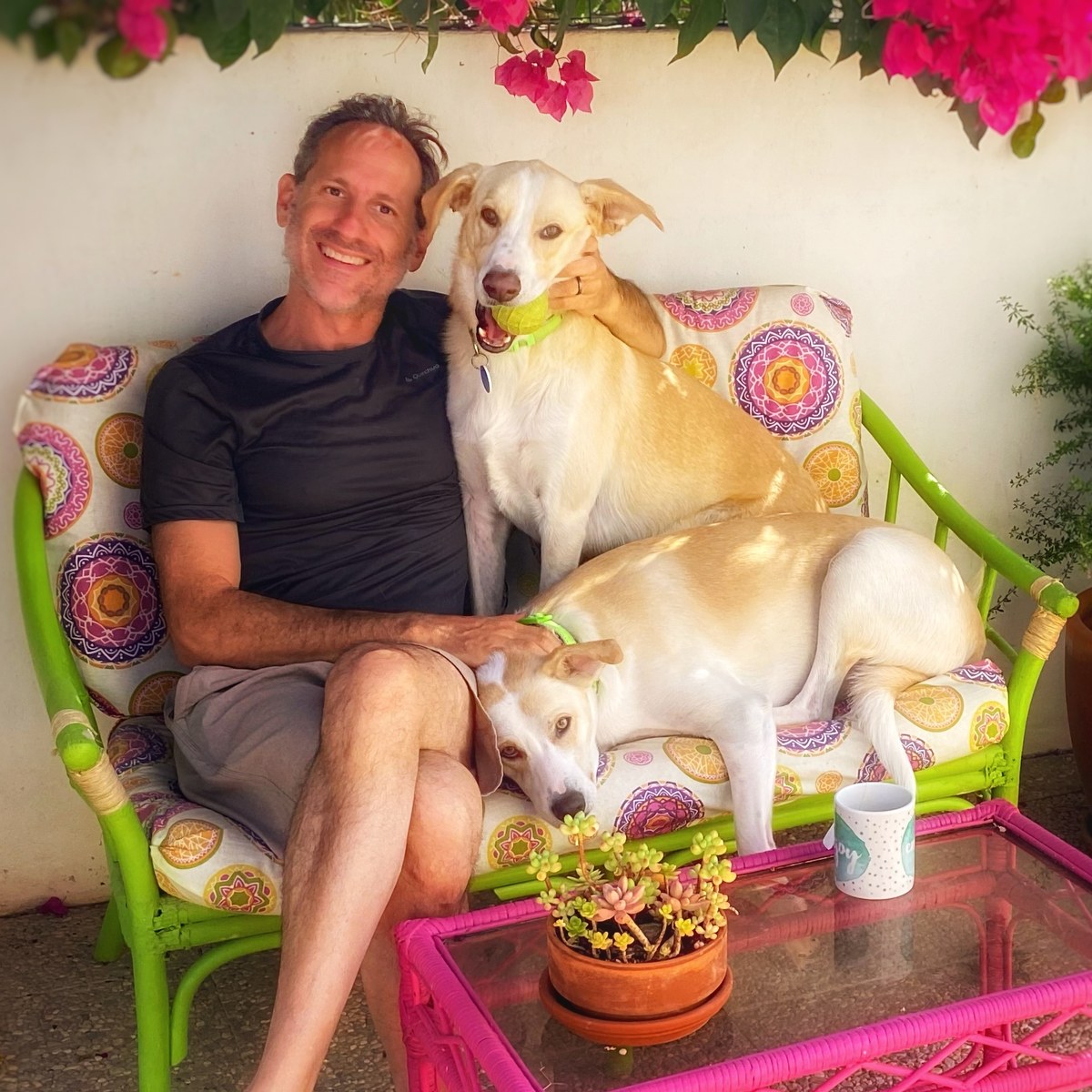Getting snuggles in Luz, Algarve, Portugal
