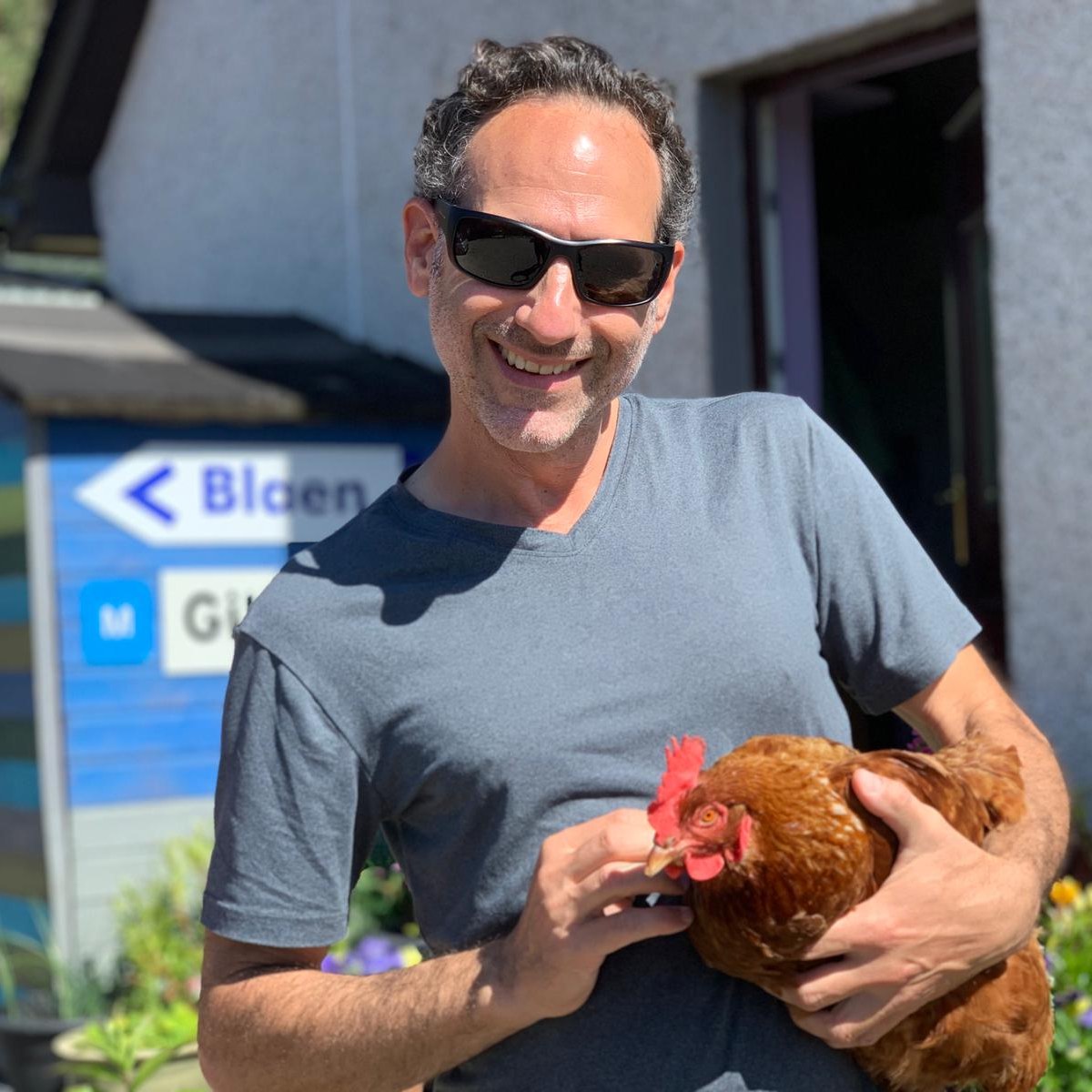Chickens in Germany