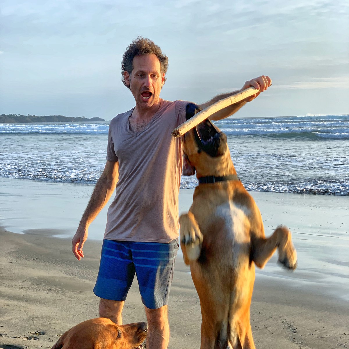 Rhodesian Ridgebacks in Costa Rica