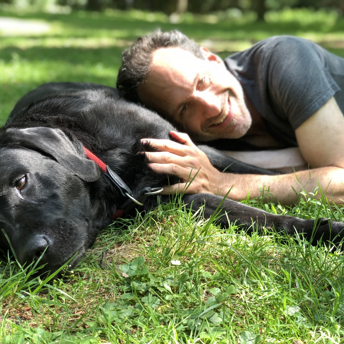 Black lab in Berlin, Germany